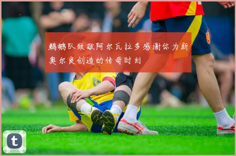 鹈鹕队致敬阿尔瓦拉多感谢你为新奥尔良创造的传奇时刻
